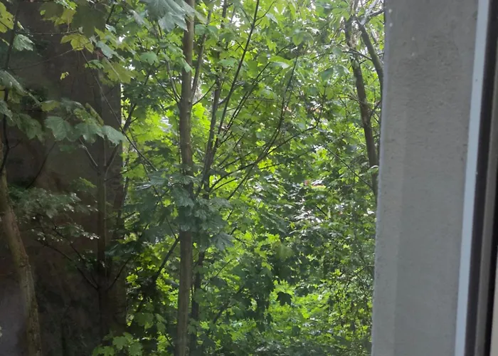 Angels O K B S2 Altenburg